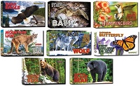 FLIPWORKZ Flipbook Collection